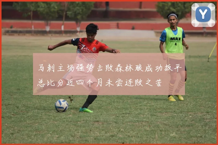 马刺主场强势击败森林狼成功扳平总比分近四个月未尝连败之苦
